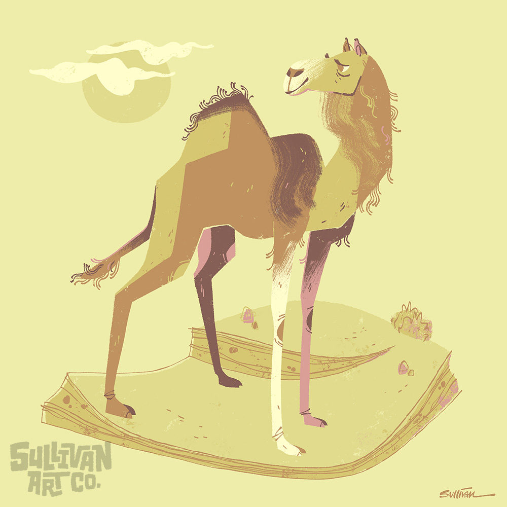 2022-03-Camel_01_WEB